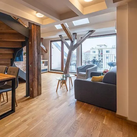 Appartement Luxusni S Terasou V Centru Brno