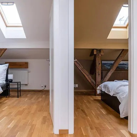 Luxusni S Terasou V Centru Apartment